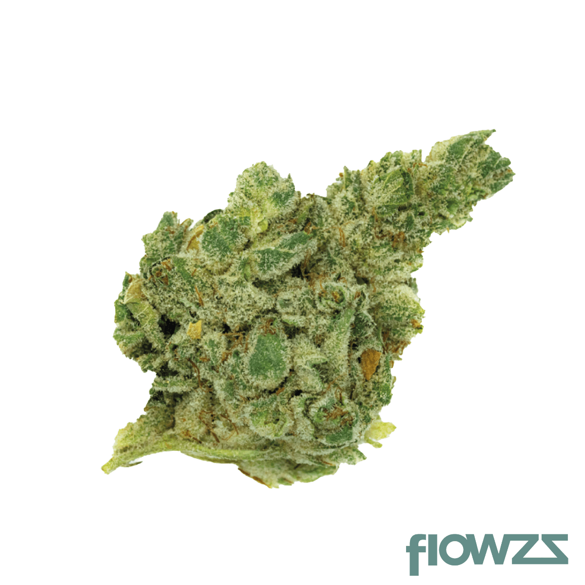 Gorilla Glue Cannabisblüte